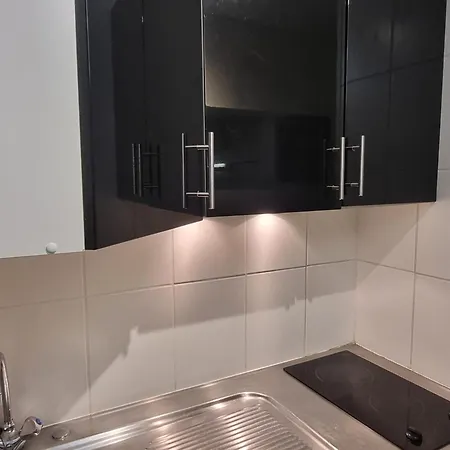 Renove, Pied Des Pistes, 3/4 Pers, Animaux Ok - Fr-1-181-2600 La Plagne