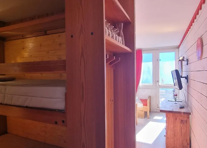 Apartament Renove, Pied Des Pistes, 3/4 Pers, Animaux Ok - Fr-1-181-2600 *