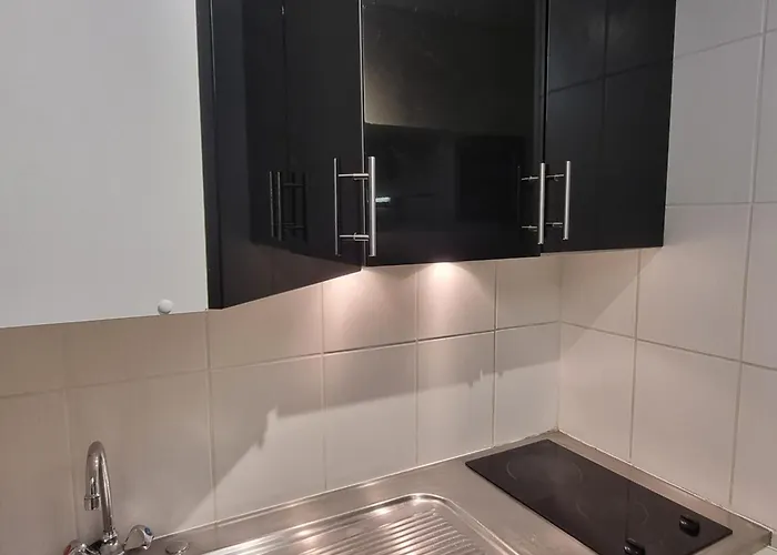 Renove, Pied Des Pistes, 3/4 Pers, Animaux Ok - Fr-1-181-2600 Ла-Плань